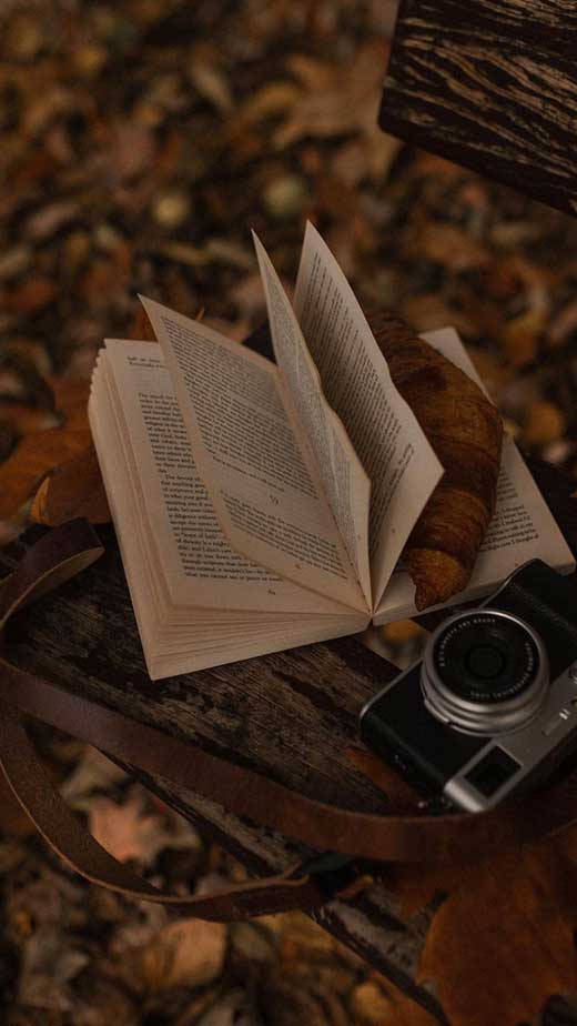 Dark Brown Aesthetic Picture Wallpaper