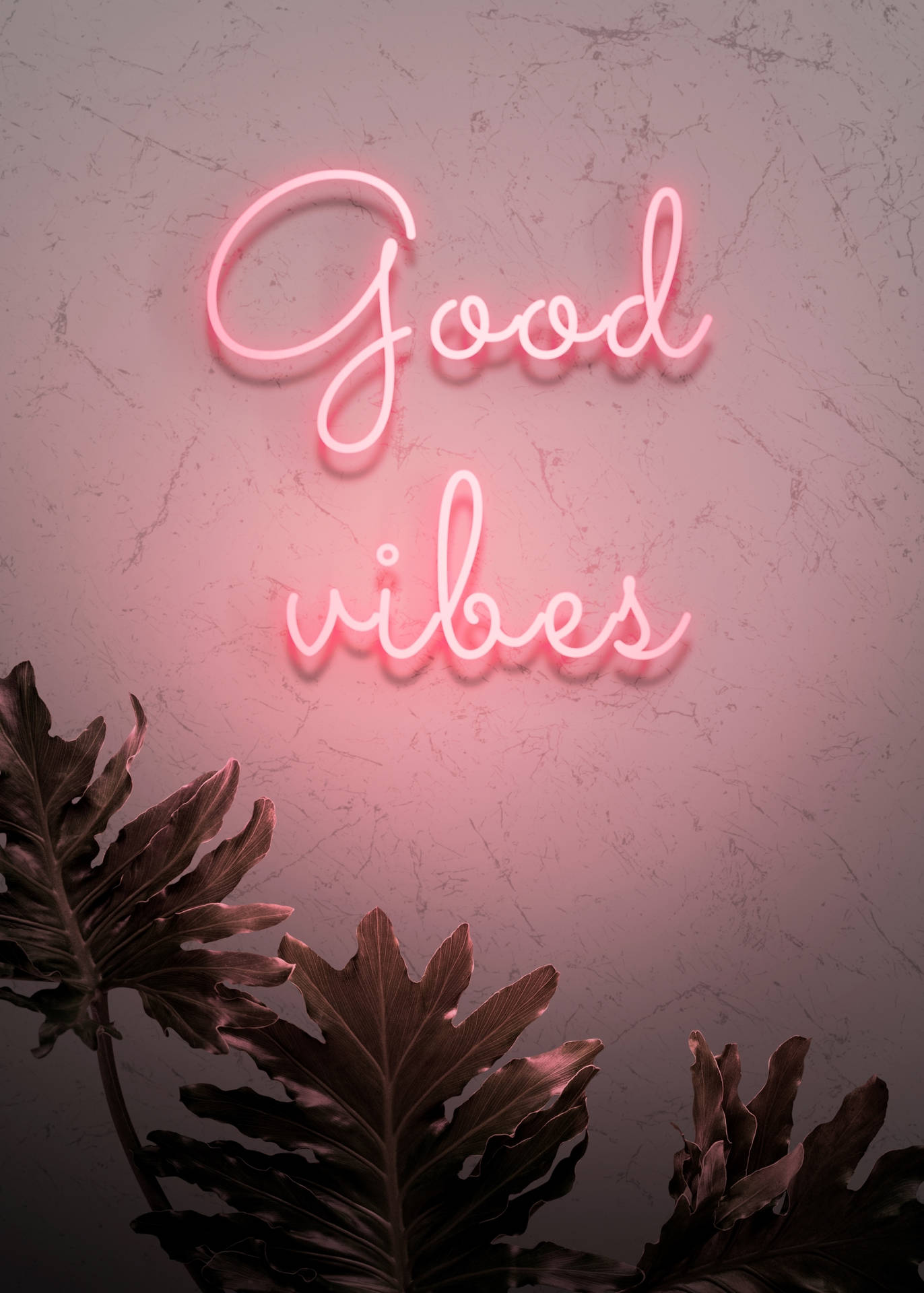 Neon Pink Aesthetic Picture Wallpaper