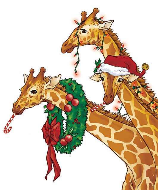 Christmas Animals Postcards For Xmas And Holidays Giraffes