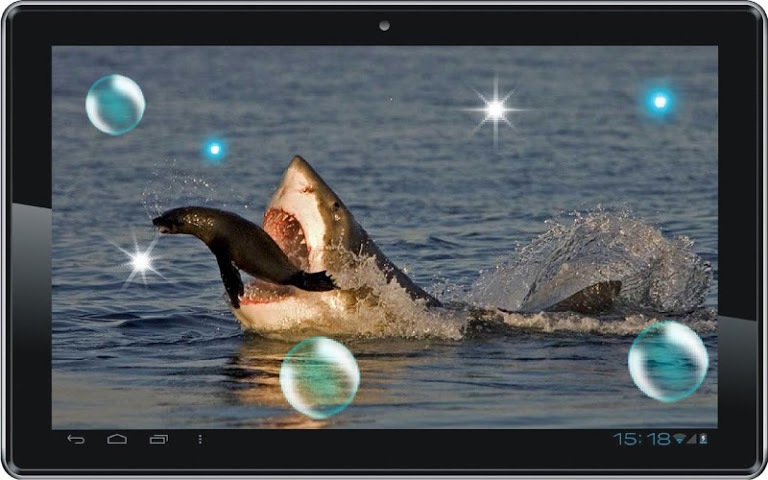 All about Shark Sea Killer livewallpaper for Android Videos