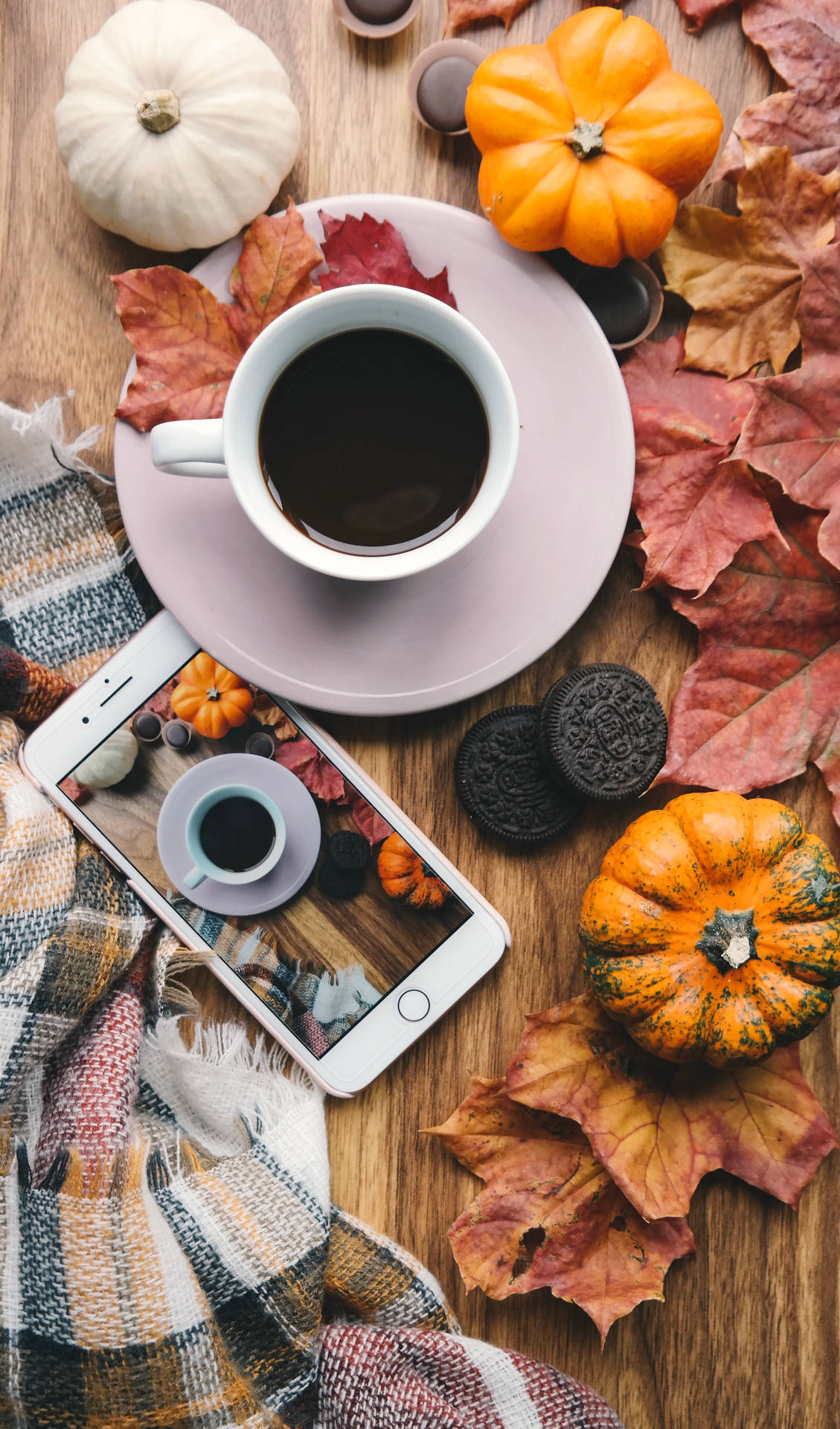 Autumn Phone Wallpaper