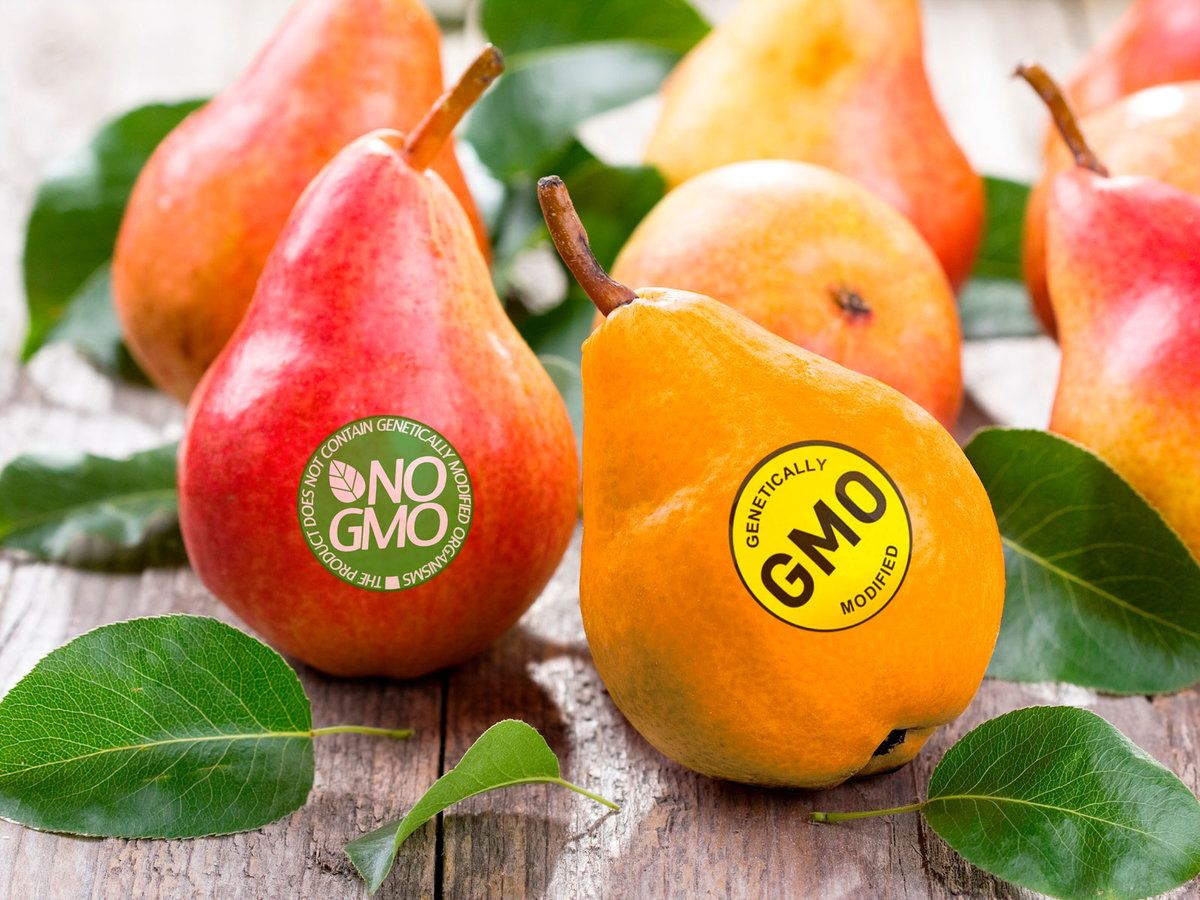 Whole Foods Pauses Gmo Labeling Deadline For Suppliers Fruit
