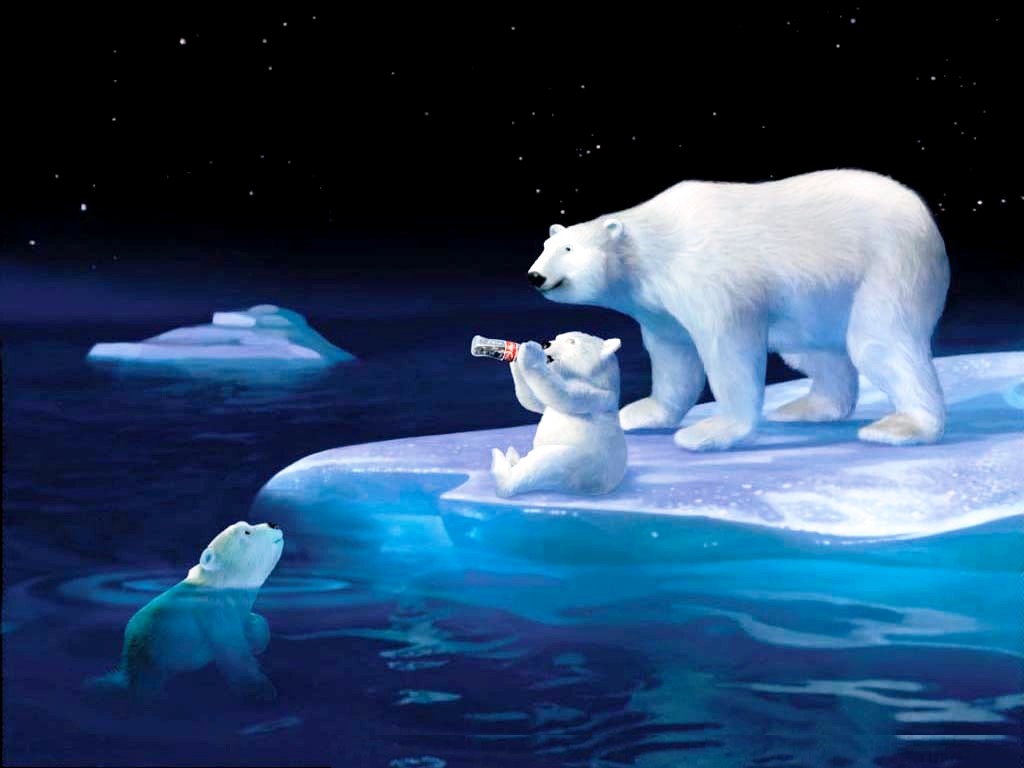 3d Polar Bears Desktop Wallpaper Photos For
