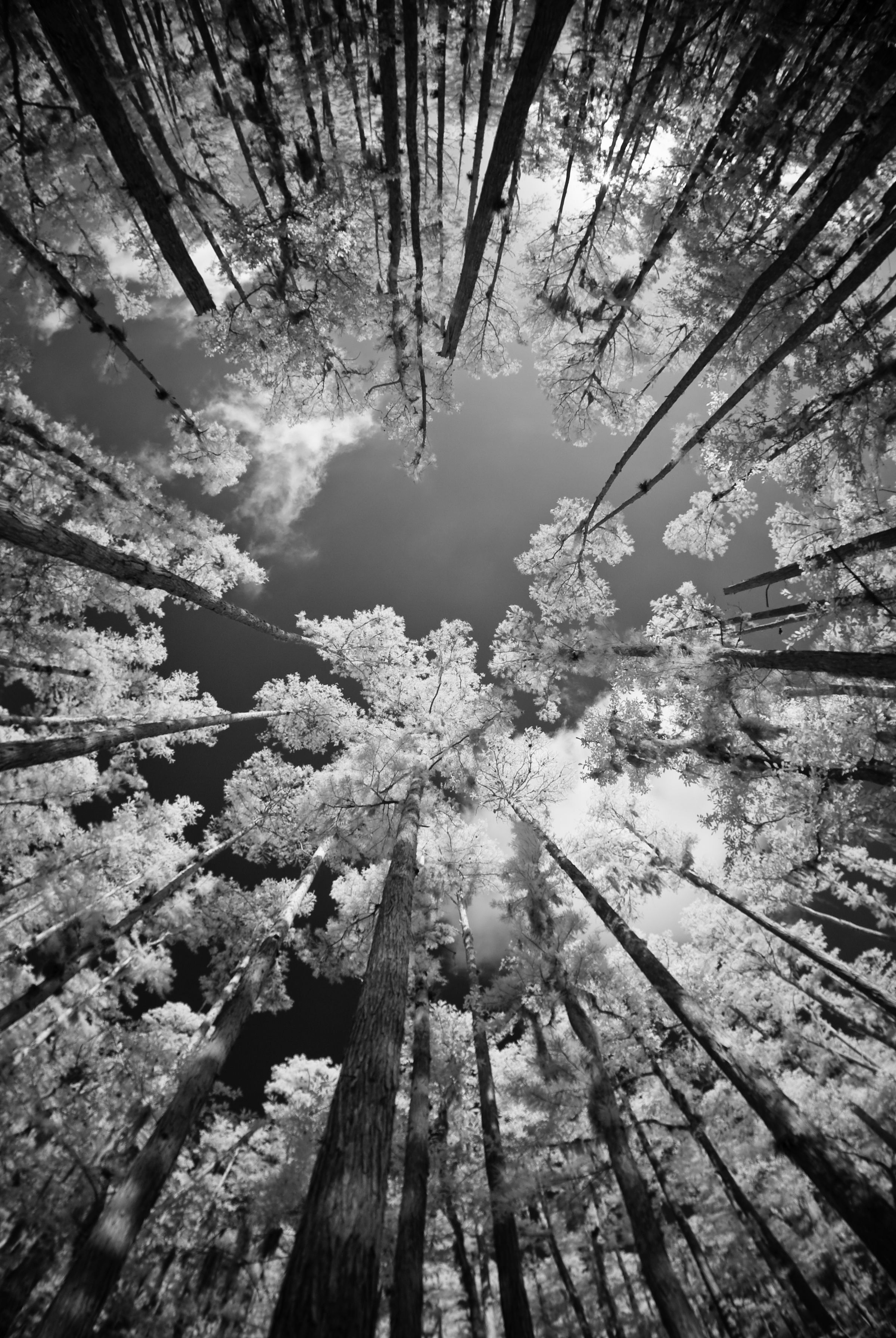 Black And White Photography Wallpaper