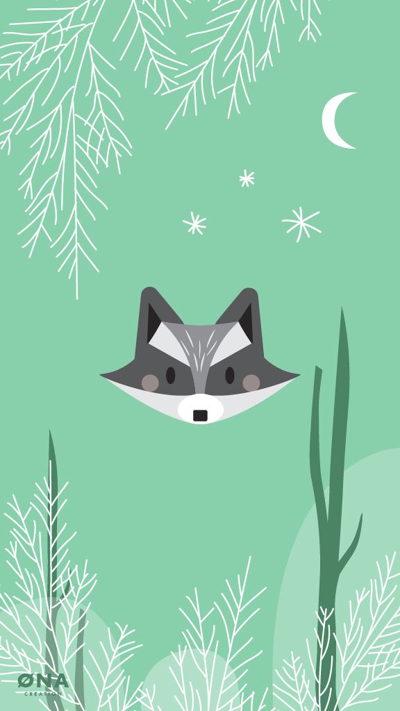 Raccoon Wallpaper For Your Phone iPhone6 iPhone5