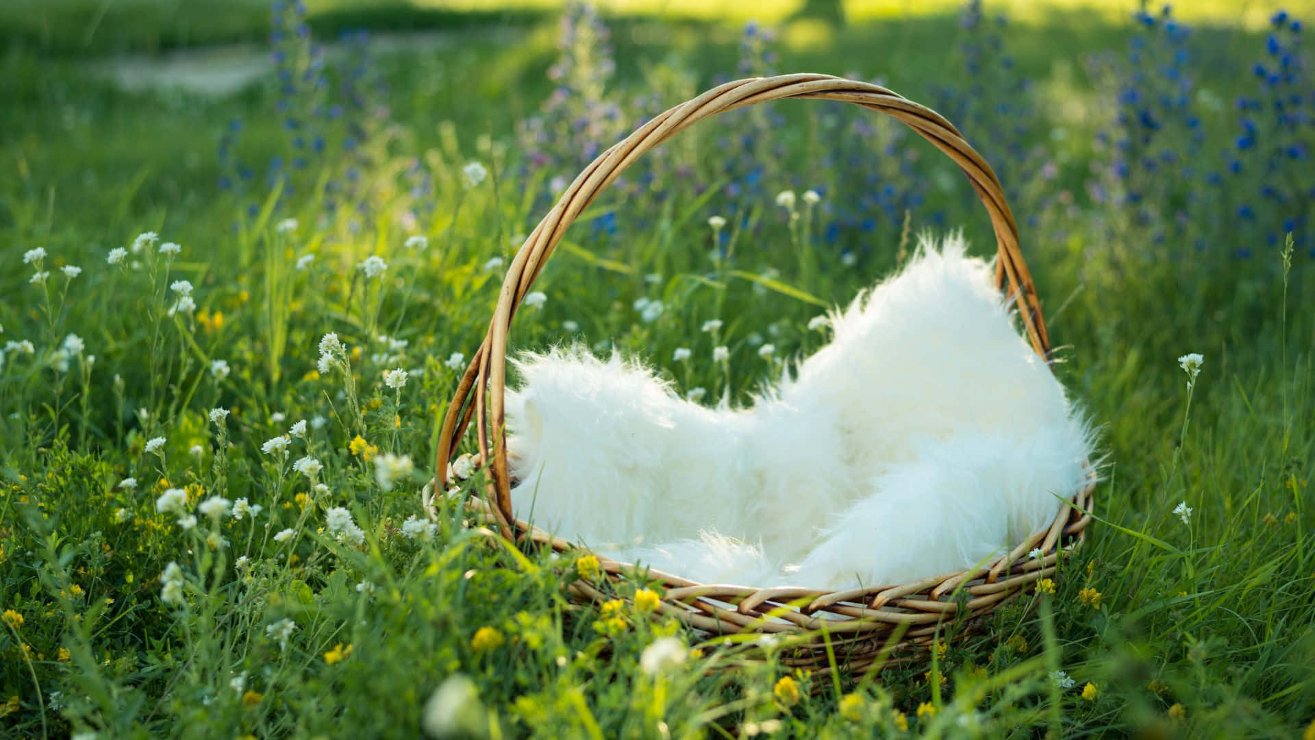Celebrate The Easter Season With A Joyous Basket Wallpaper
