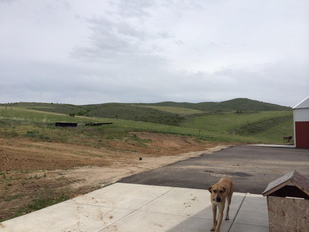 🔥 Free Download Shaycarl On Michaelaranda Hankgreen Zing Lol I by