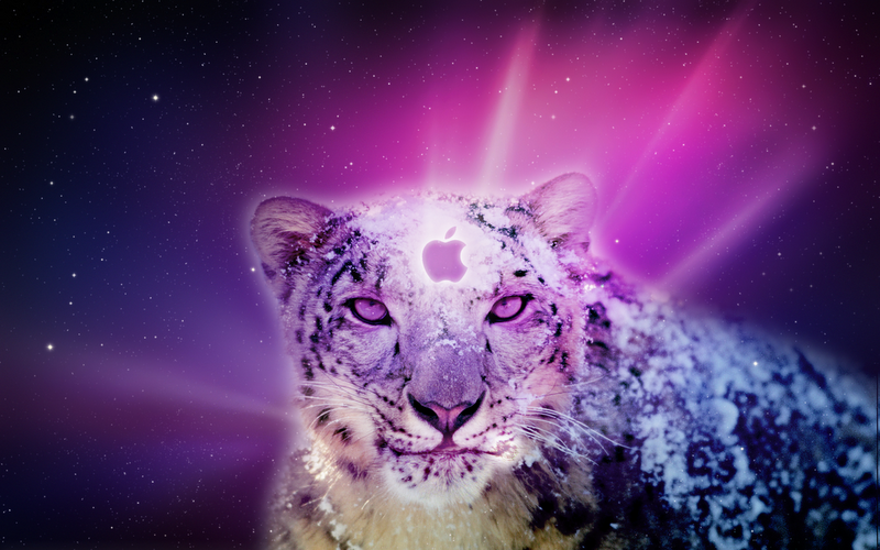 Celebrity Screensaver Wallpaper Picture Theme Snow Leopard