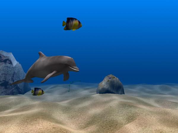 23kb Dolphin Aqua Life 3d Screensaver Source