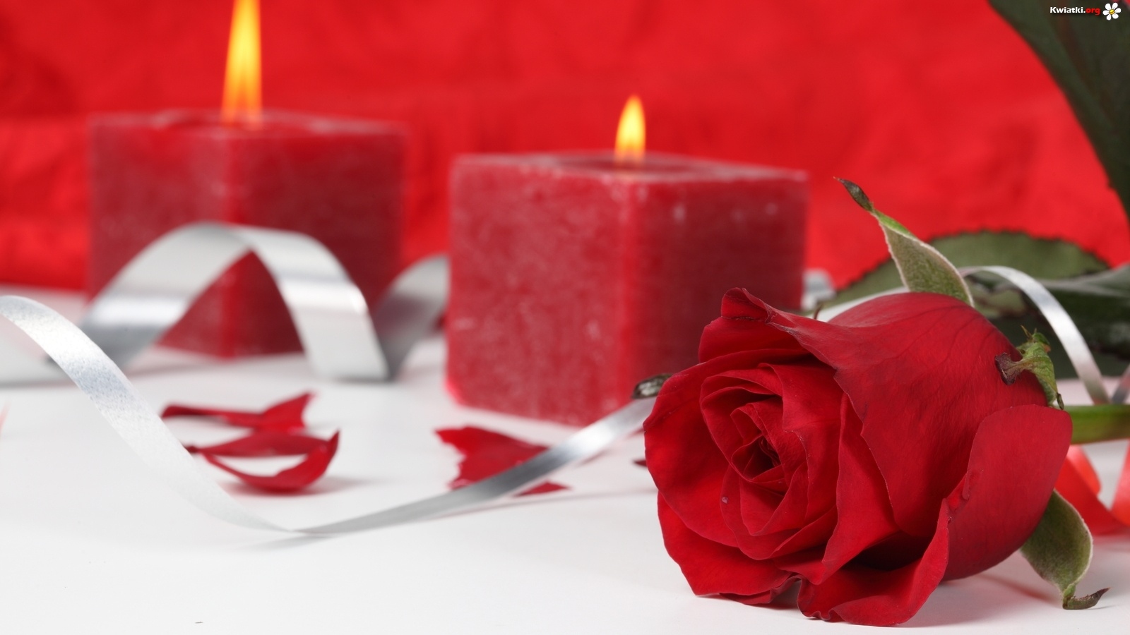 Red Rose And Candles Wallpaper