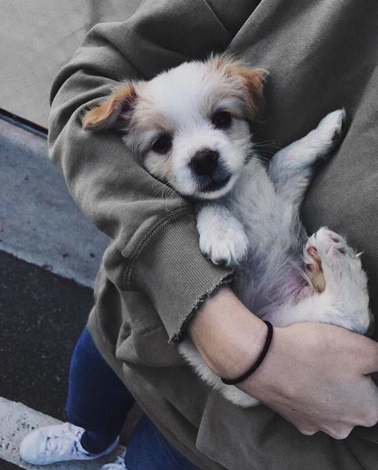 Image About Jennxpenn Trending On We Heart It