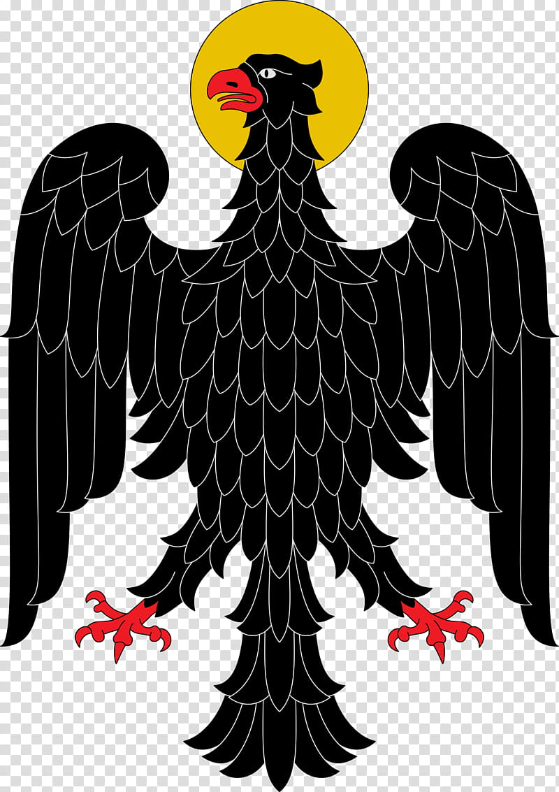 Eagle Bird Tshirt Of Saint John Four Evangelists