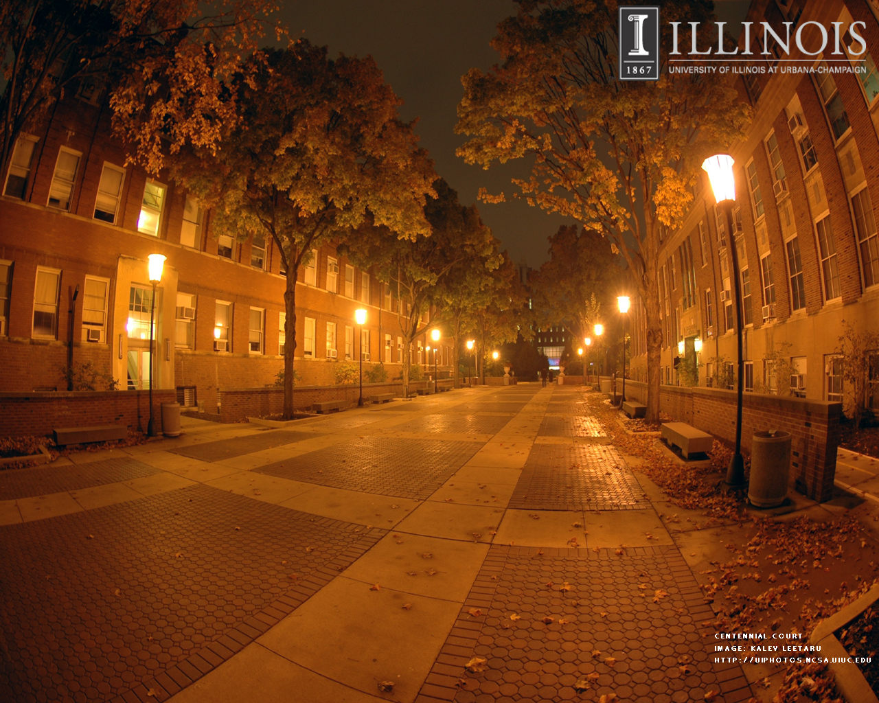 Project A Photographic Record Of The University Illinois
