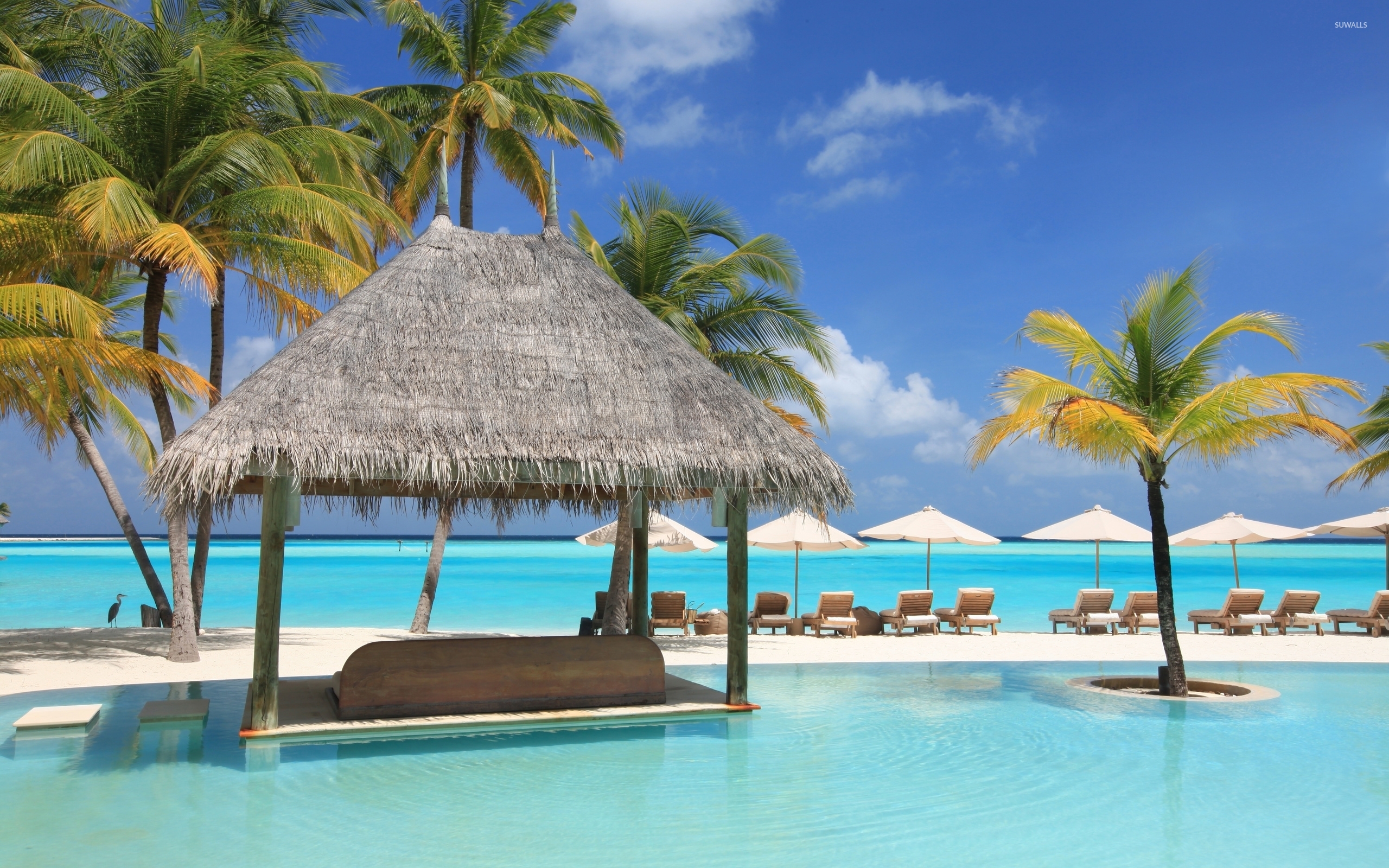 Beautiful Resort In Maldives Wallpaper Beach