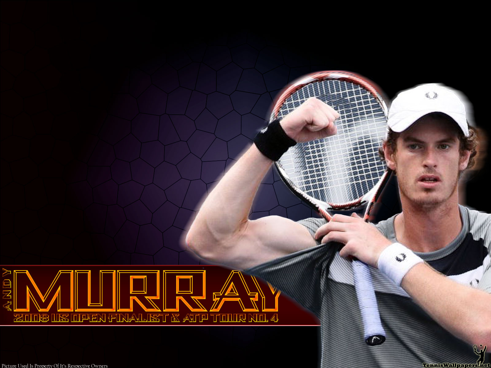 Andy Murray HD Wallpaper