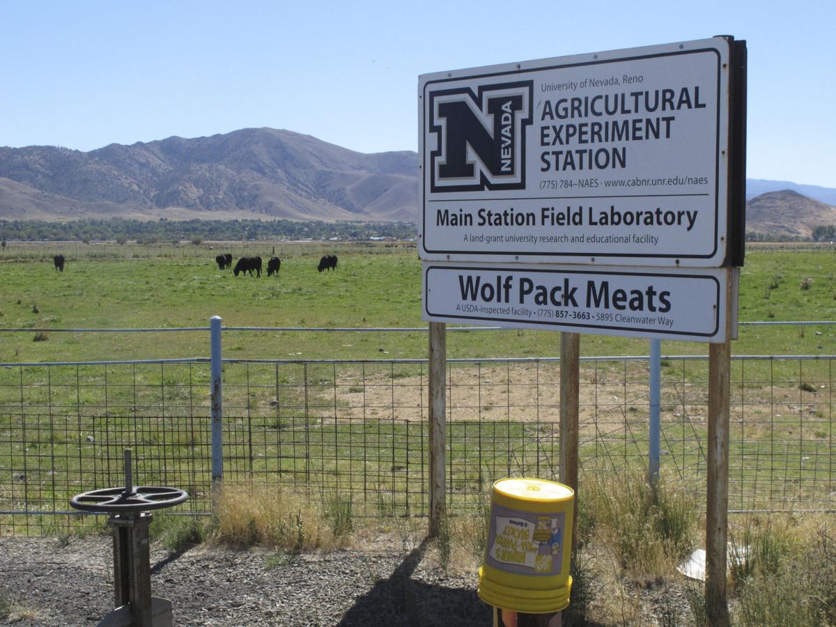 Unr Sells Slice Of Half Century Old Research Farm For 18m