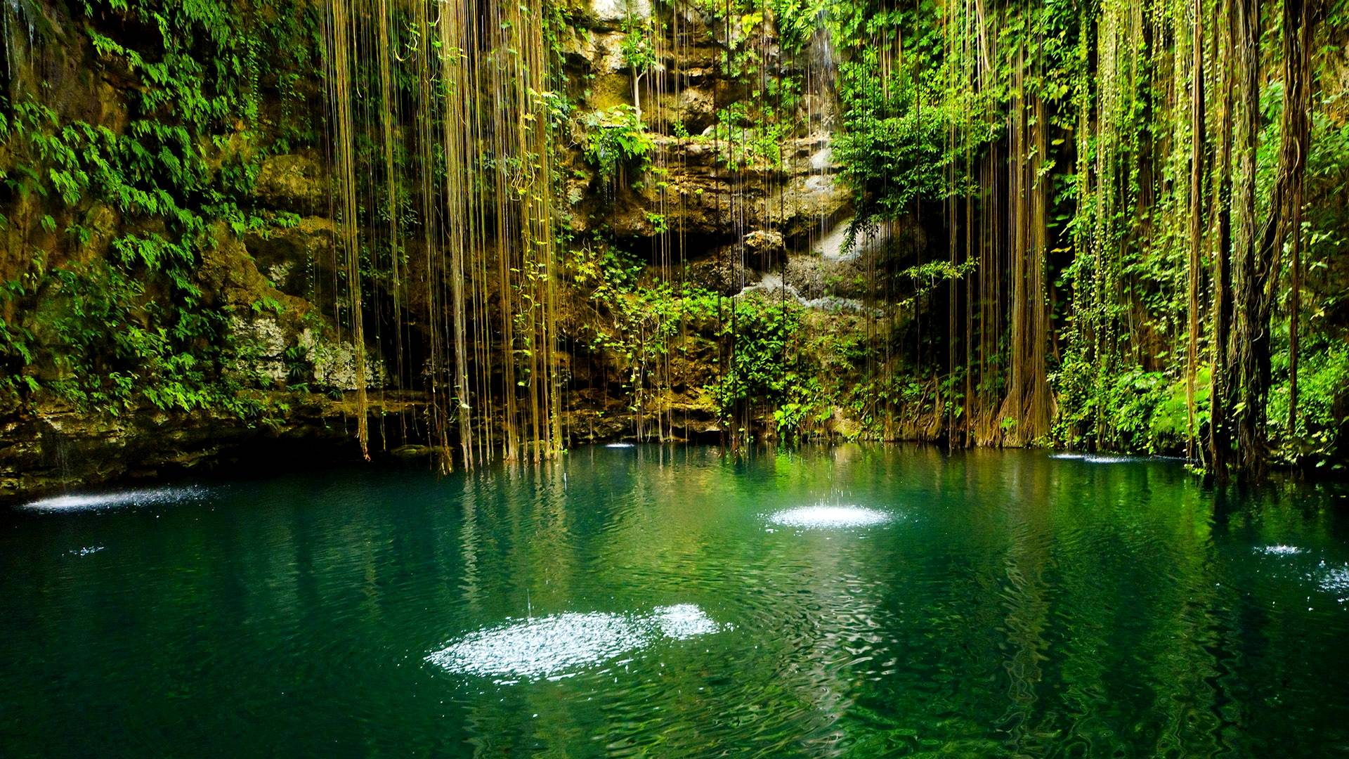 1080p HD Image Nature Wallpaper