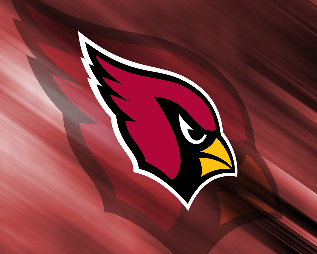 Cardinals HD Wallpaper Background Image