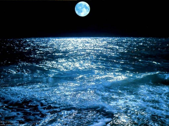 Moonlight Oceans Wallpaper Sharewallpaper