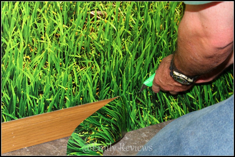 Free download The second panel went up just as smoothly however that