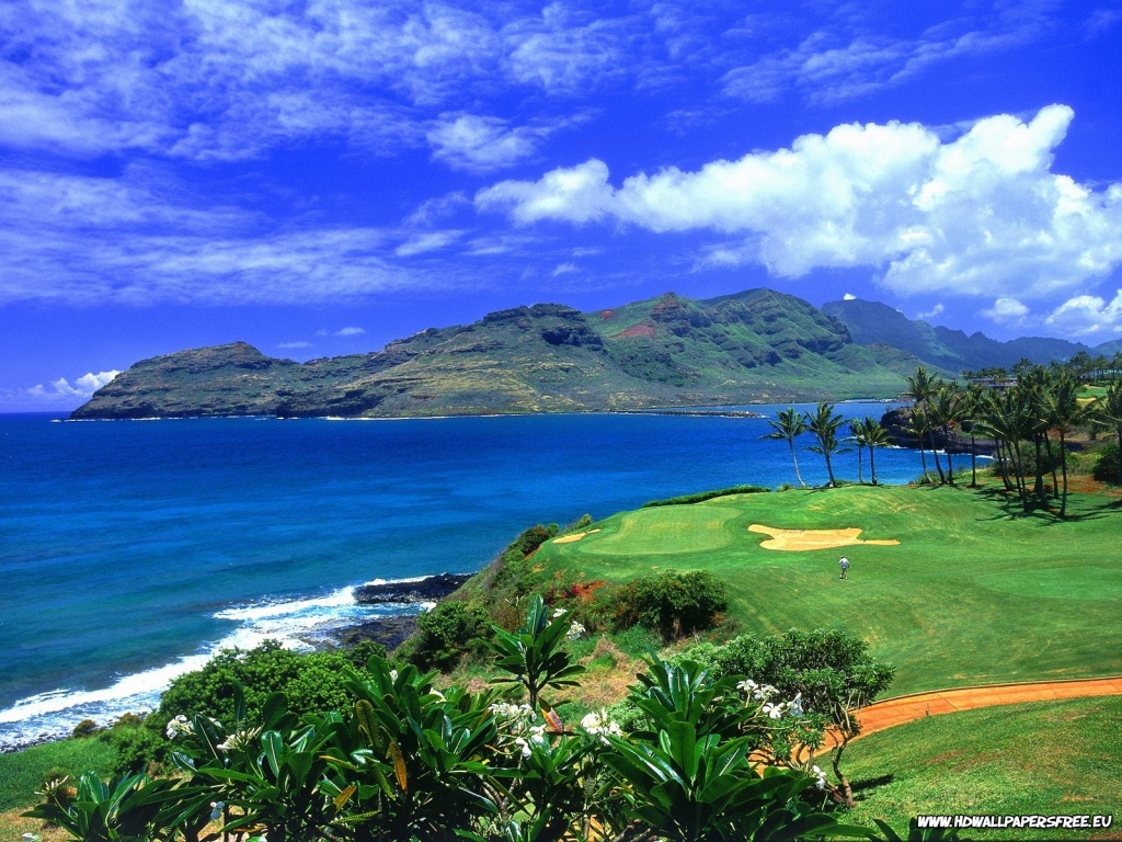 Hawaii golf Wallpaper in 1024x768 Resolution