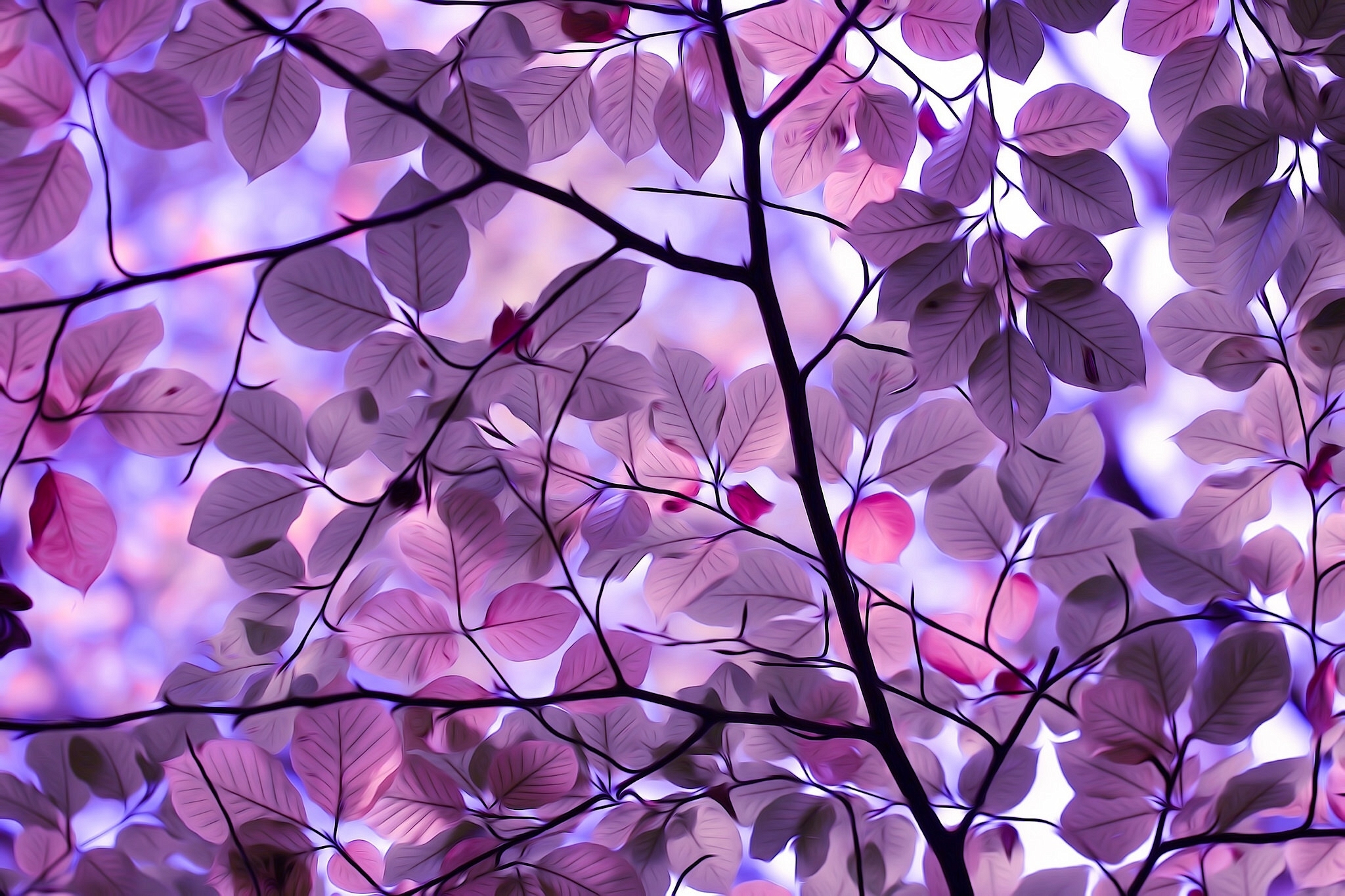 Background Purple Leaf P T Nhi N I Mi Ph Wallpaper