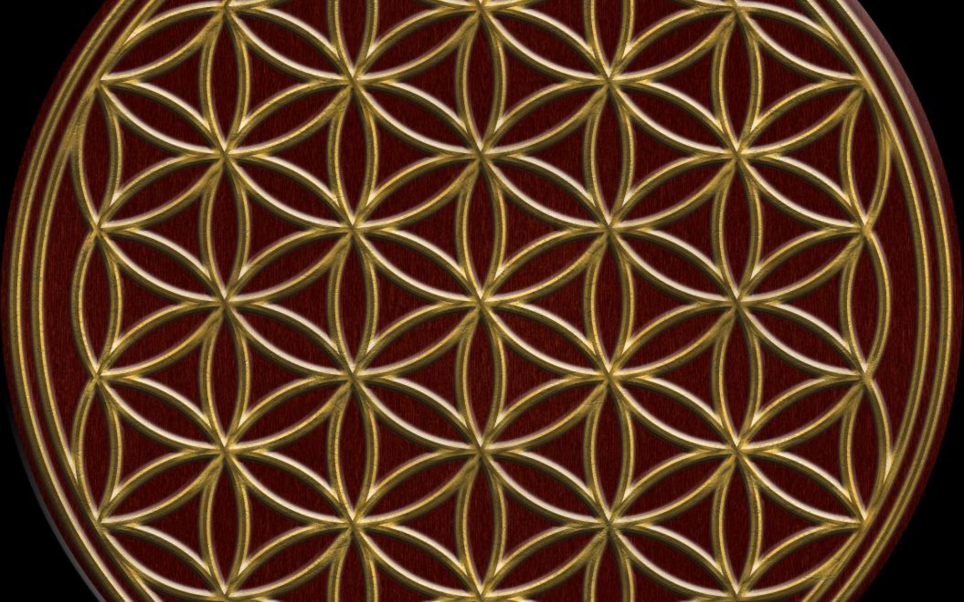 Flower of life   91030   High Quality and Resolution Wallpapers on