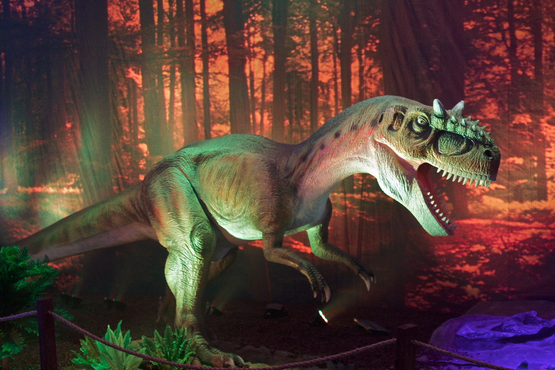 Allosaurus Predatory Dinosaur Wallpaper Click Picture For High