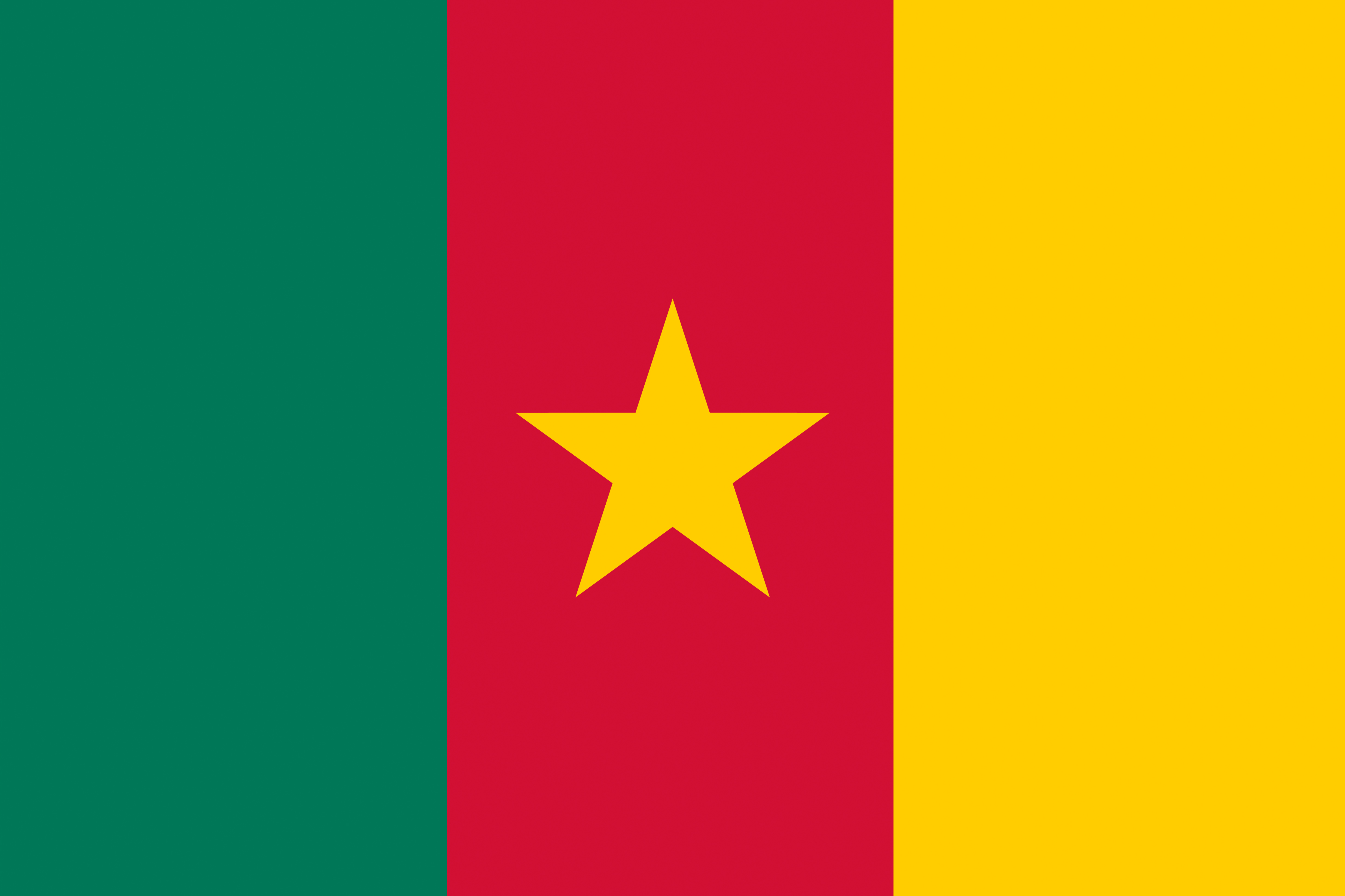 Photo Cameroon Flag Stripes