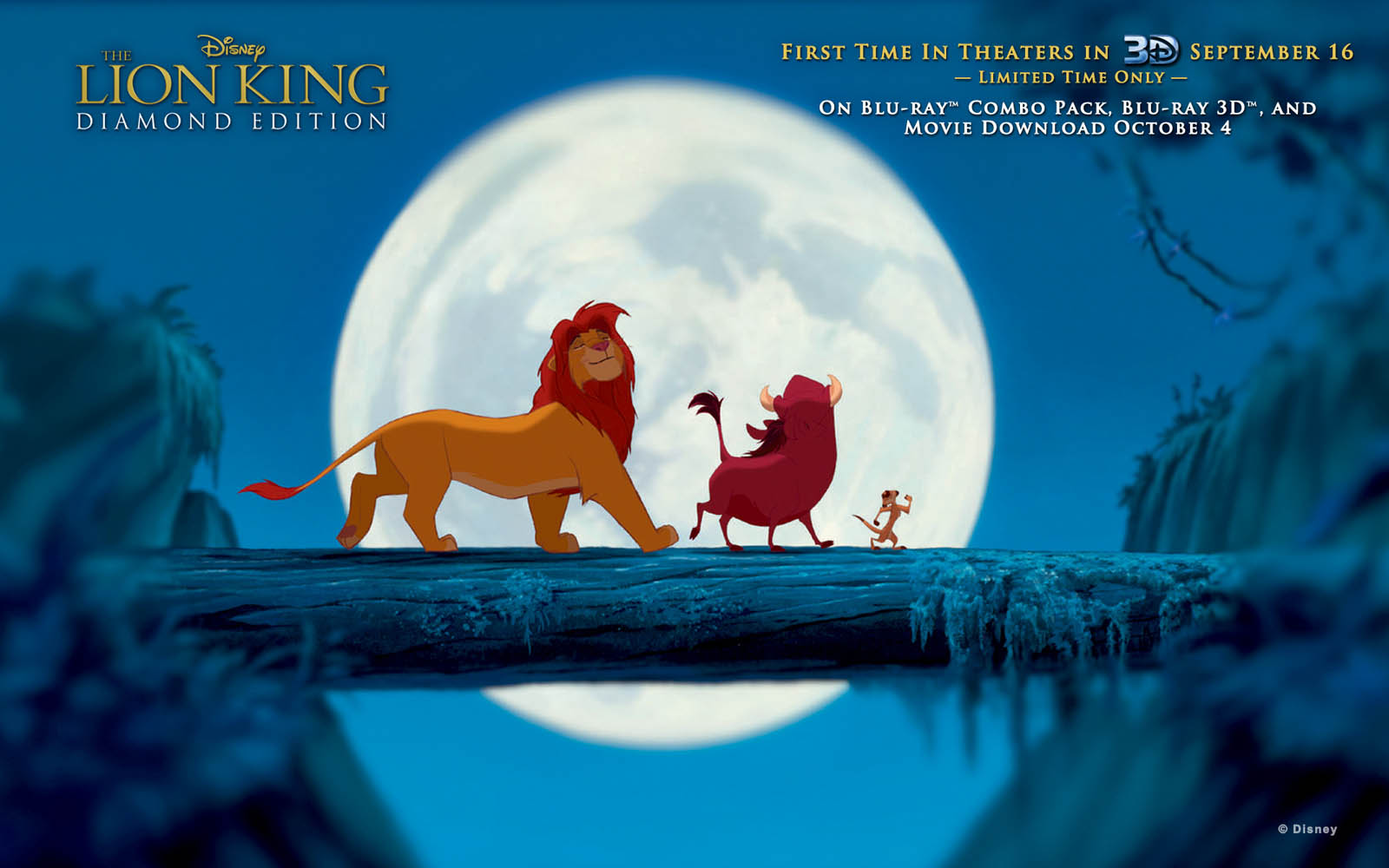 The lion king Wallpapers Download  MobCup