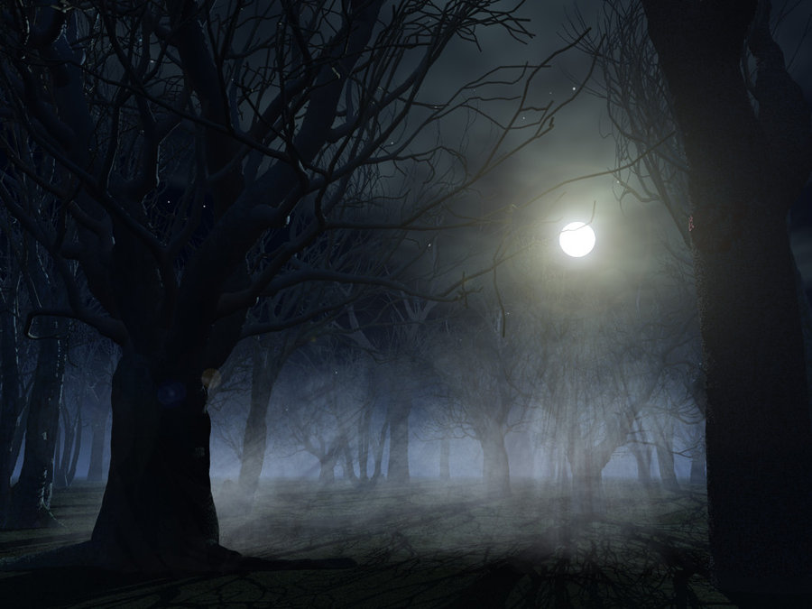 Spooky Forest Background By Indigodeep