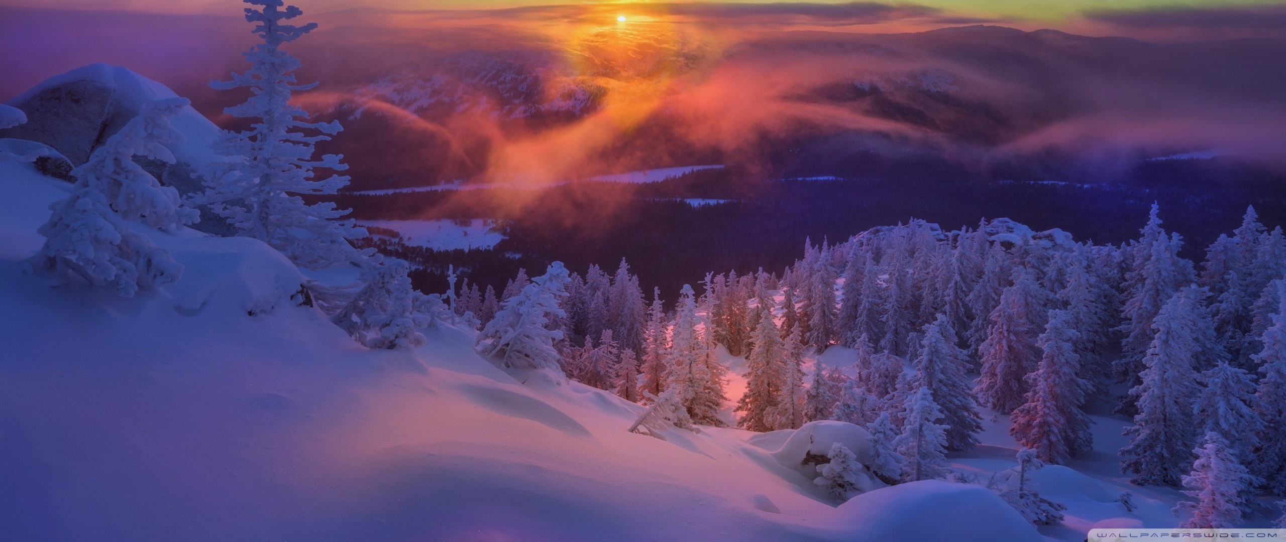 Frozen Winter Landscape Ultra HD Desktop Background Wallpaper For