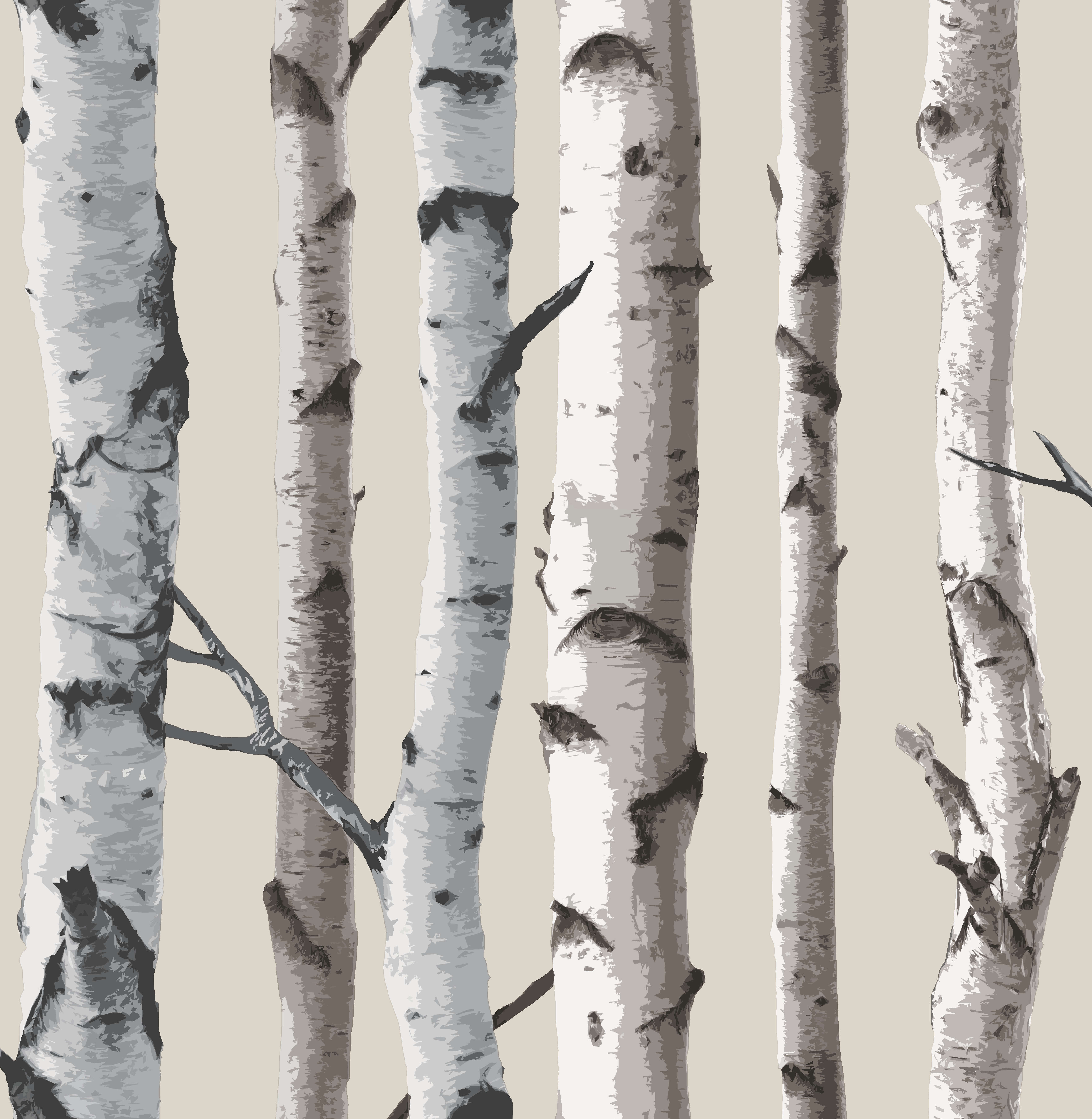 Fine Decor Birch Tree Wallpaper Fd31051