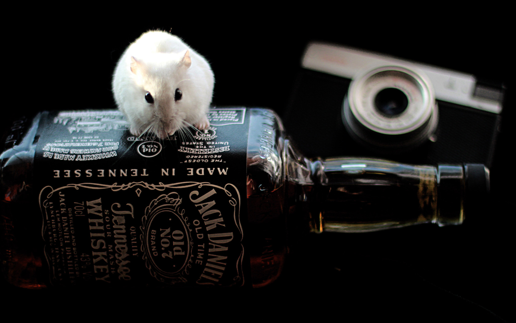 Mouse With Jack Daniels Wallpaper IwallHD HD