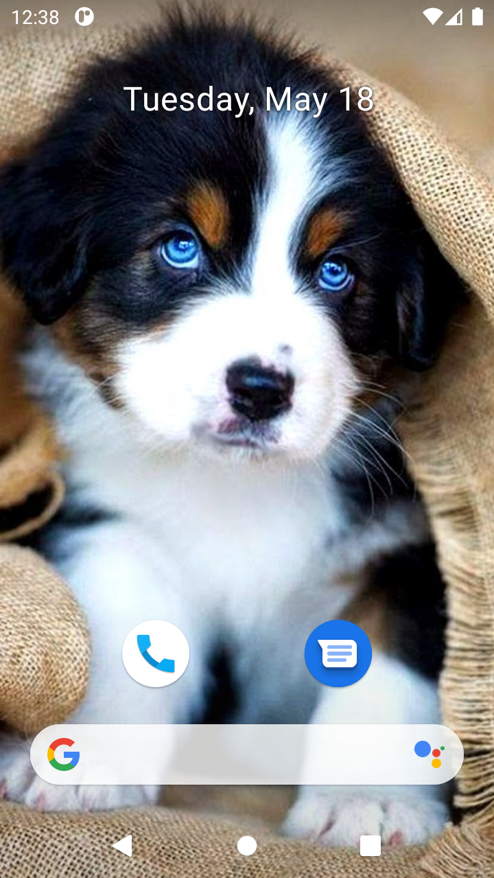 Cute Dog Wallpaper Amazon Appstore For Android