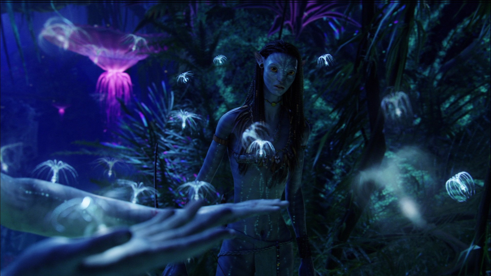 Avatar 2 43066 HD wallpaper  Pxfuel