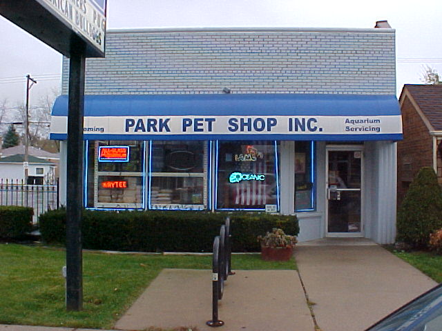 Ricerche correlate a Animal pet shop