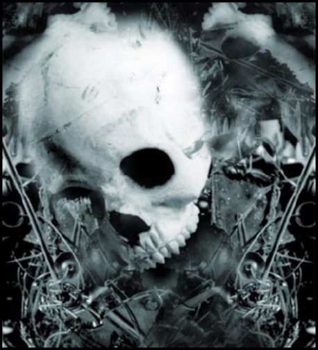 Gothic Skull Wallpaper Image
