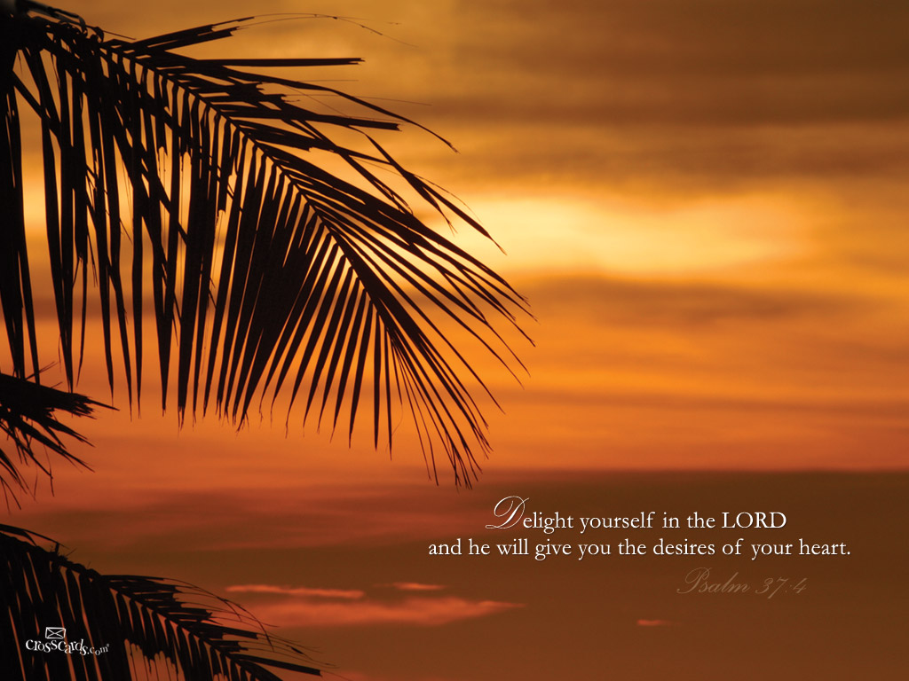 Psalm Delight Wallpaper Christian And Background