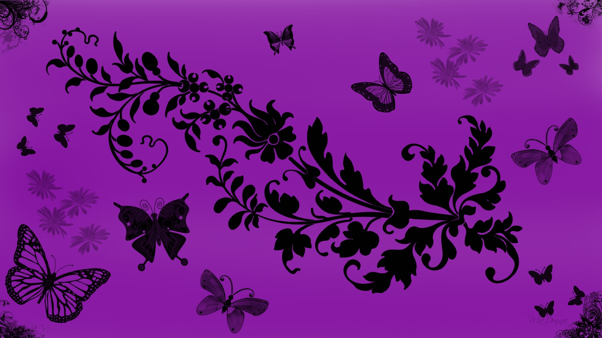 Pics Photos Purple Butterfly Background HD Wallpaper