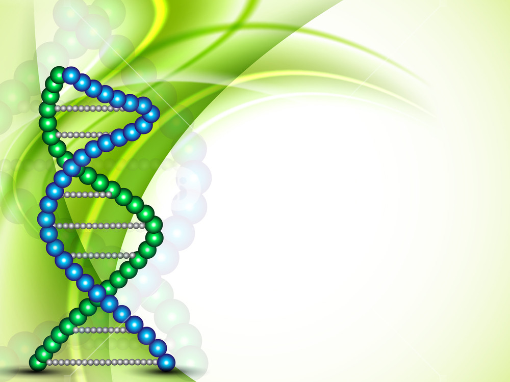 Science template wallpaper or banner with a dna Vector Image