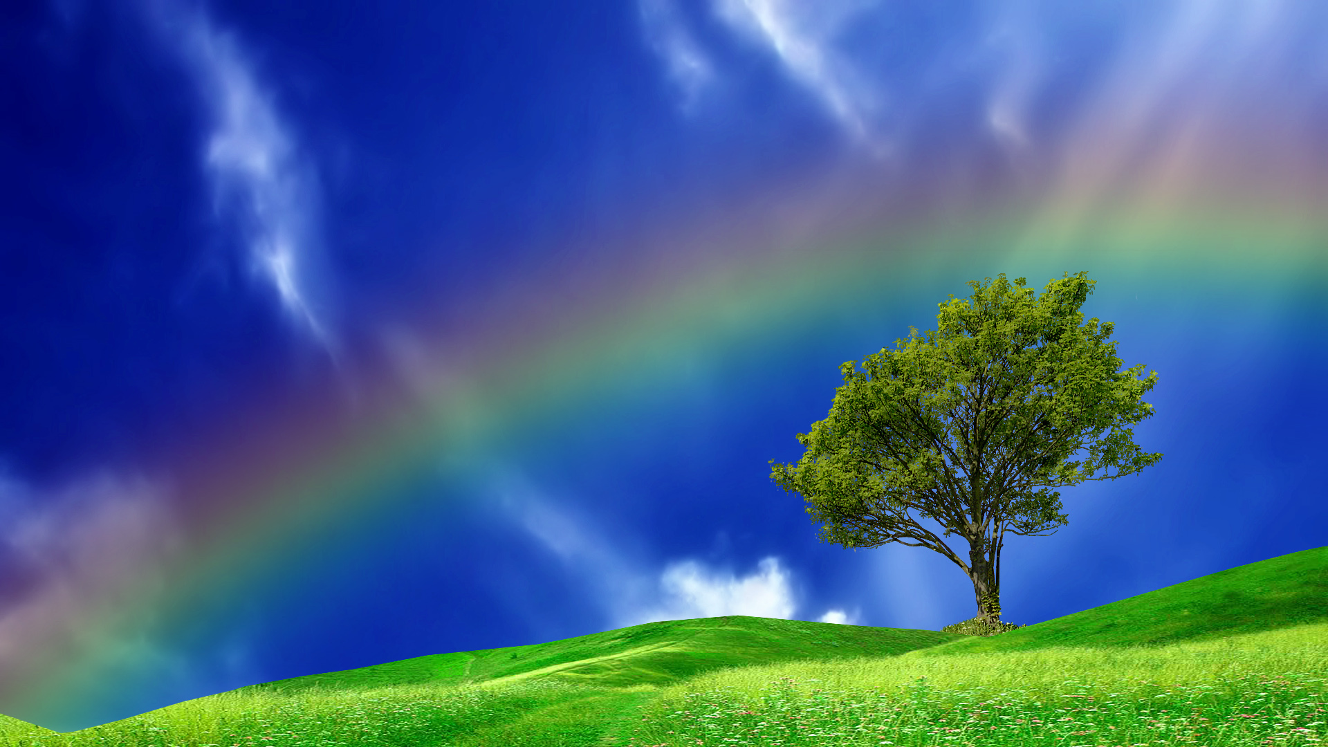 Rainbow In A Blue Sky Wallpaper HD