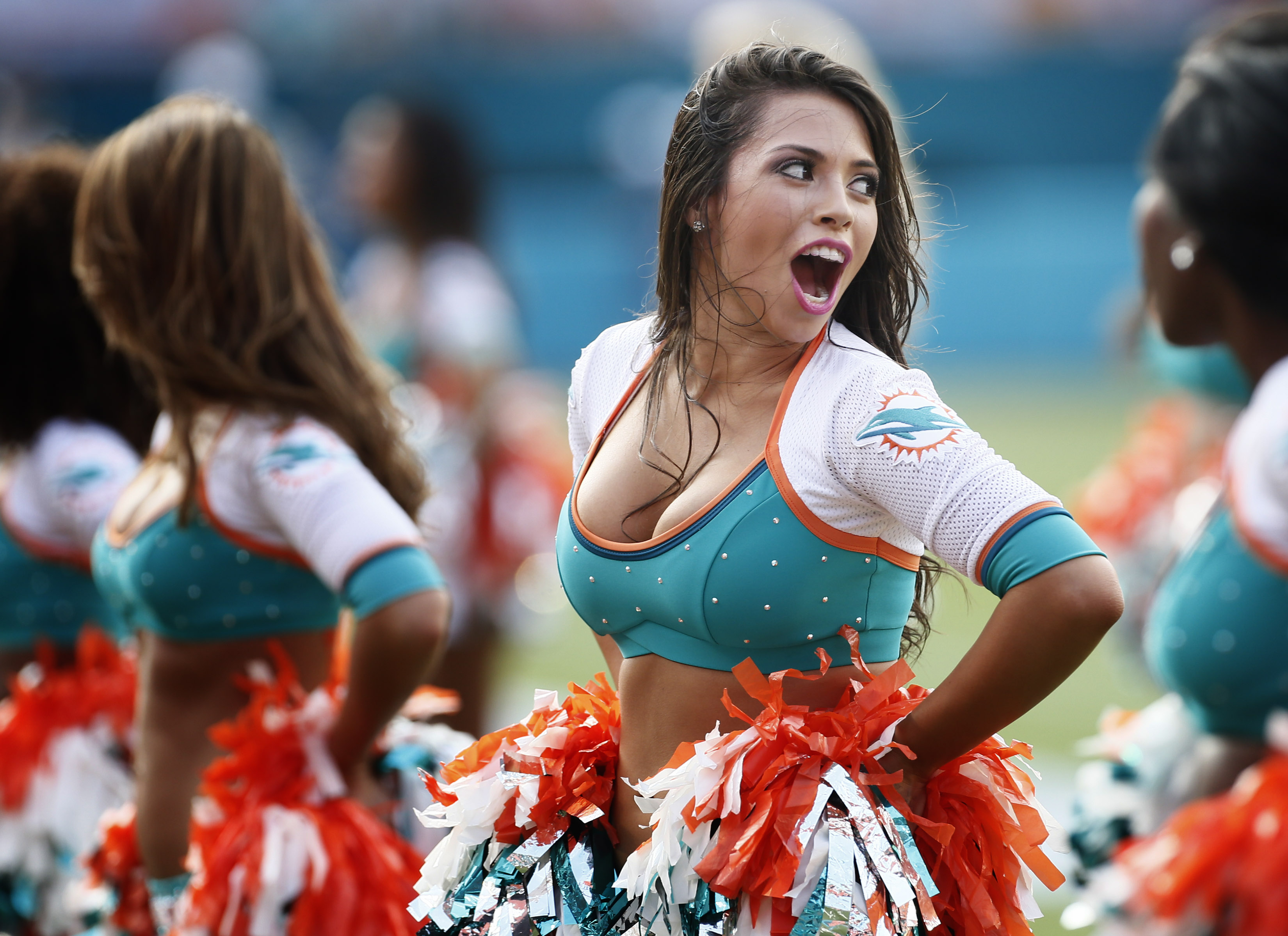 Back Gallery For Dolphins Cheerleader Wallpaper
