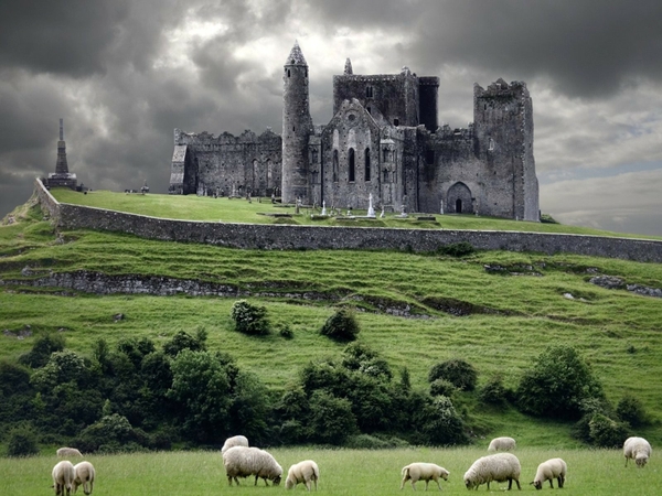 medievalsheep nature castles sheep medieval Castles Wallpaper