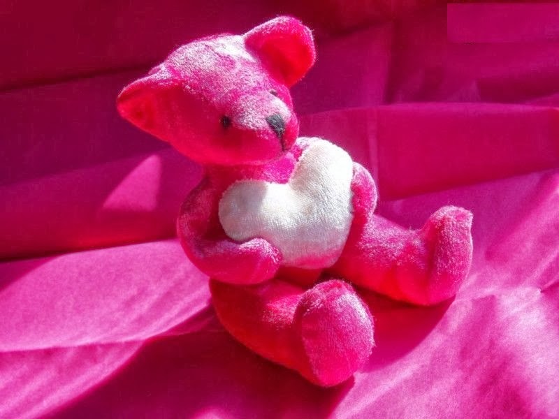 Every Lovely Wallpaper Pink Teddy Bear HD