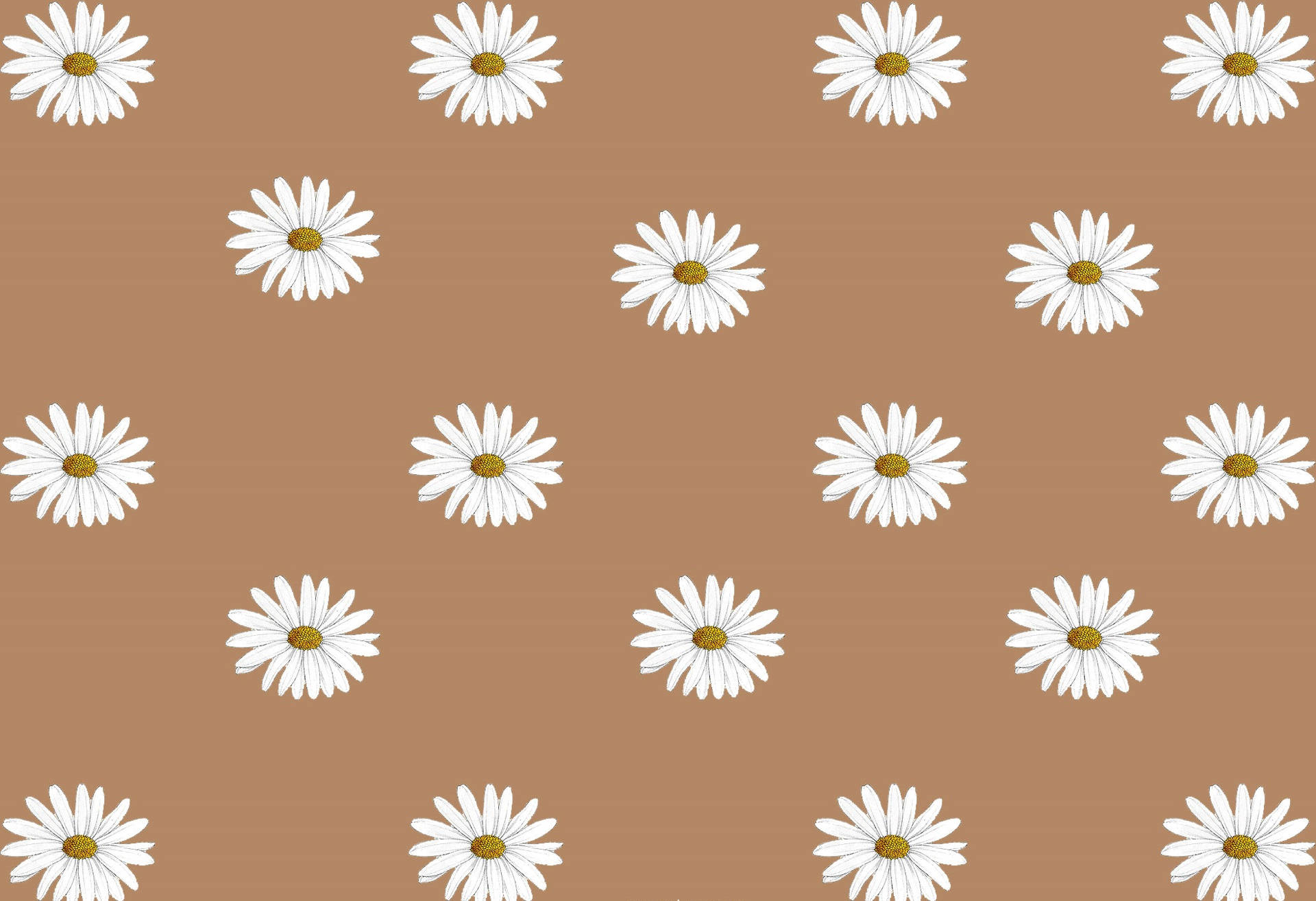 Beige Brown Aesthetic Wallpaper
