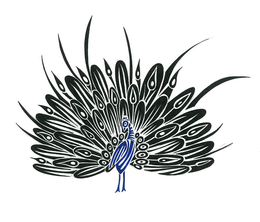 Peacock pencil sketch by Artroham on DeviantArt