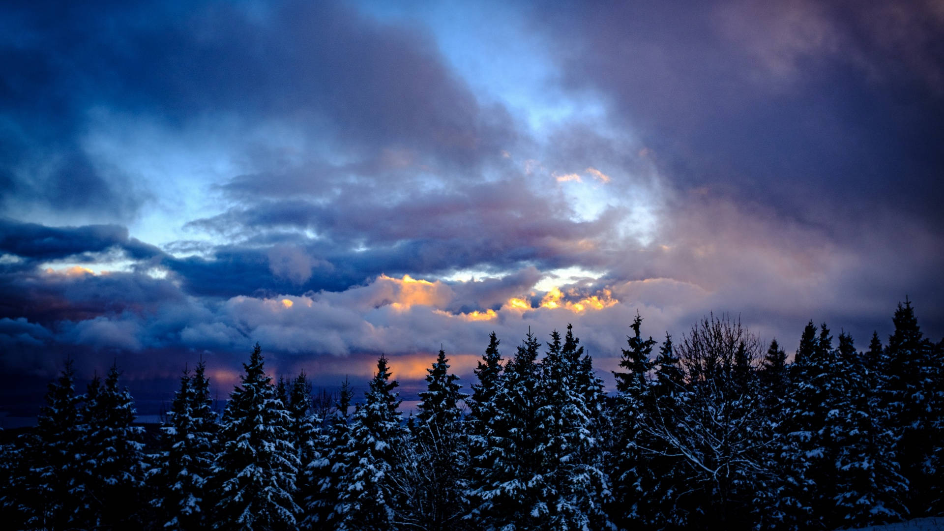 Winter Aesthetic Wallpaper