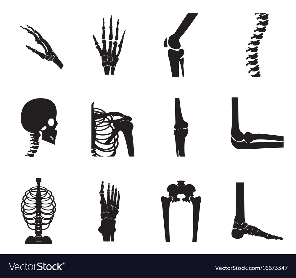 Orthopedic And Spine Icon Set On White Background Vector Image