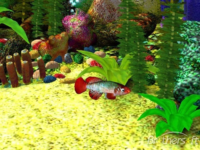 Wallpaper Aquarium For Macbook 3d